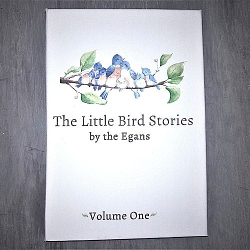 children's book